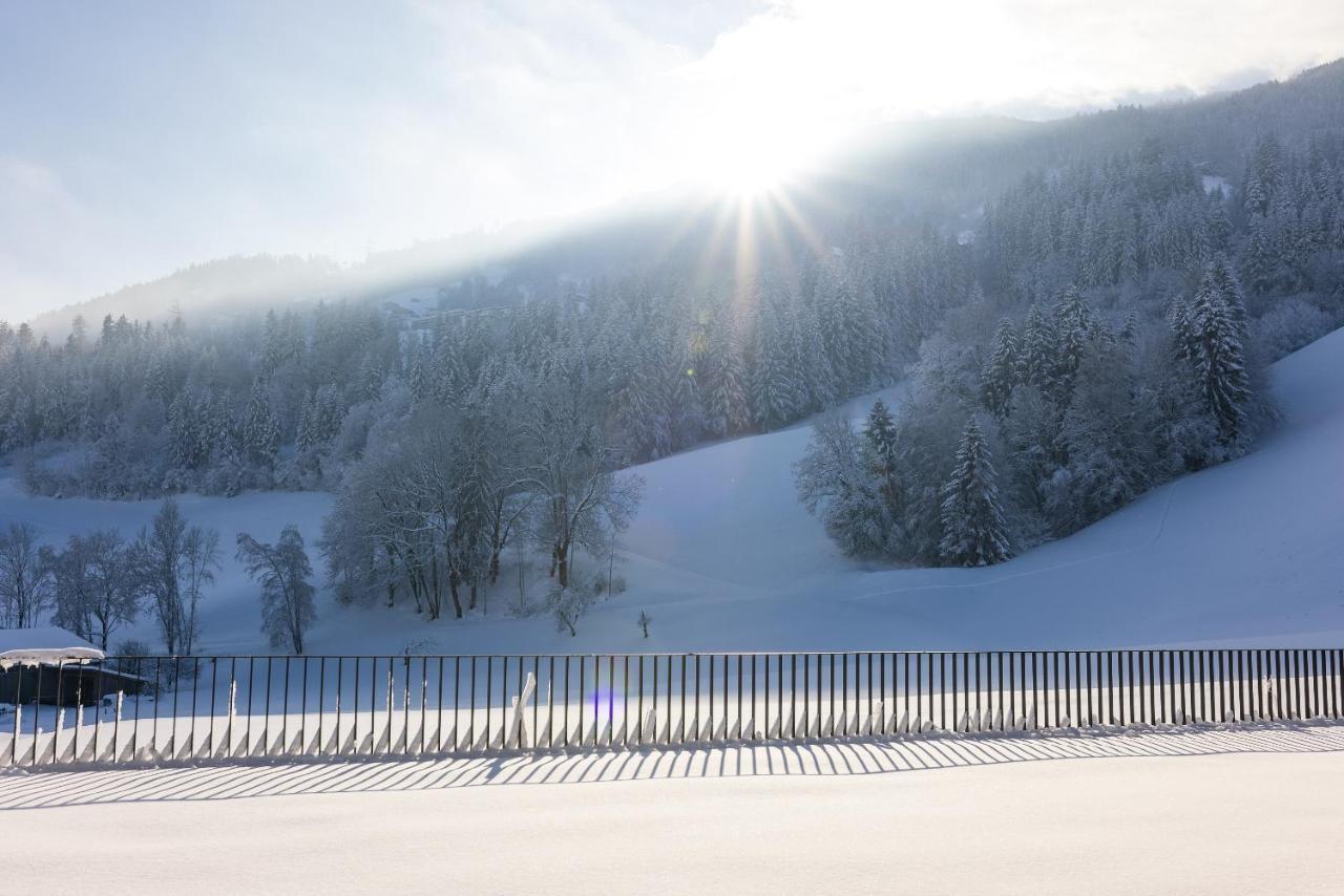 Chalet Isabella Kaltenbach Exteriér fotografie